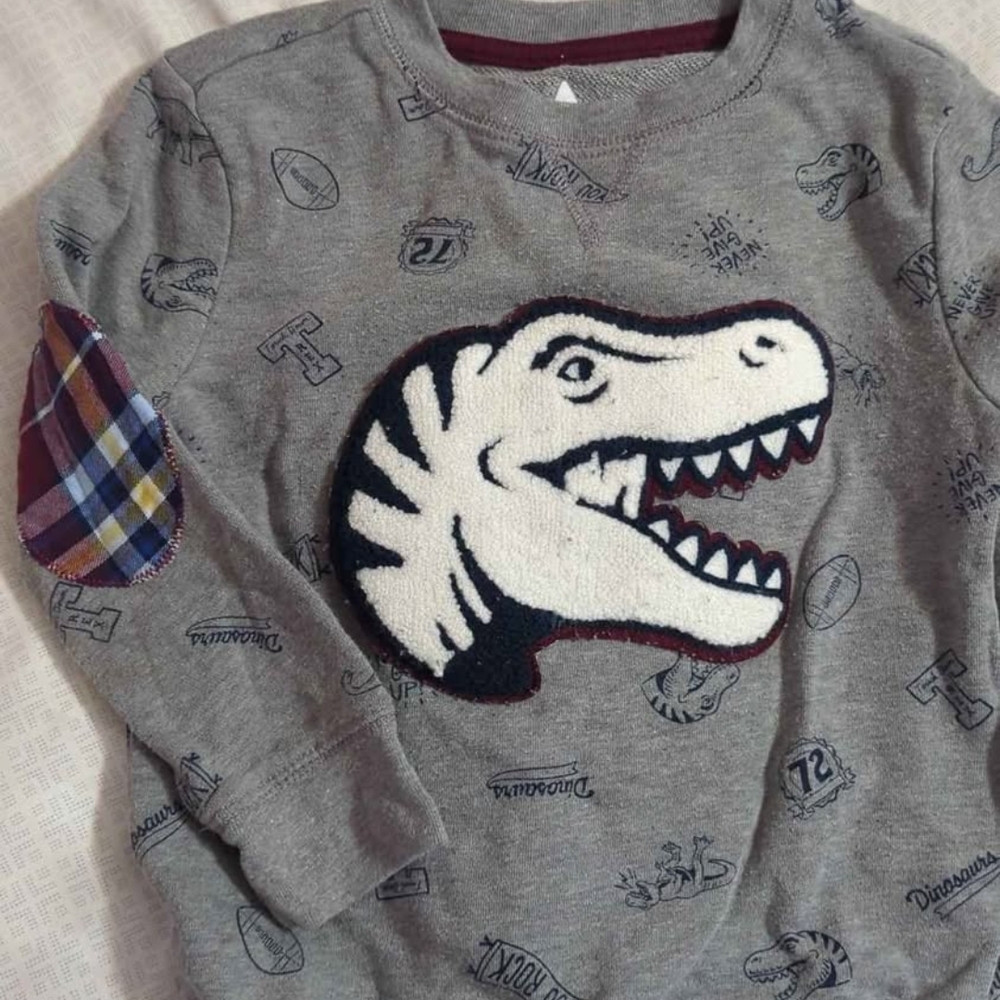 Garanimals Gray Dinosaur Long Sleeve Tee